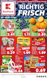 Kaufland Prospekt für Schwabach mit 61 Seiten Kaufland Prospekt für Schwabach: "Aktuelle Angebote", 61 Seiten, 23.10.2025 - 29.10.2025