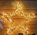 LED-Weihnachtsstern im Angebot bei famila Nordost in Stralsund LED-Weihnachtsstern Angebote bei famila Nordost Stralsund für 19,99 €