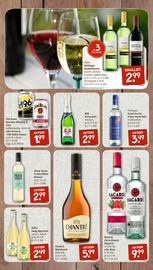 Aktueller nahkauf Prospekt mit Vodka, "nichts liegt näher", Seite 10