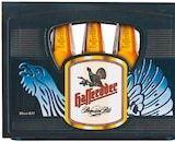 Premium Pils von Hasseröder im aktuellen Netto mit dem Scottie Prospekt