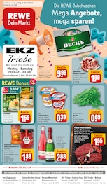 Silvesterknaller im REWE Prospekt in Bottrop Aktueller REWE Prospekt mit Silvesterknaller, "Dein Markt", Seite 1