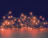 Botanic Vitry-sur-Seine - Promo Guirlande lumineuse animée à 192 LED cuivre sur câble vert Flicker Light - 16 m Promo Guirlande lumineuse animée à 192 LED cuivre sur câble vert Flicker Light - 16 m à 16,99 € dans le catalogue Botanic à Vitry-sur-Seine