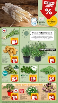 Blumen im REWE Prospekt "Dein Markt" mit 18 Seiten (Nürnberg)