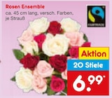 Rosen Ensemble für 6,99 € bei Netto Marken-Discount im Angebot Rosen Ensemble im aktuellen Netto Marken-Discount Prospekt