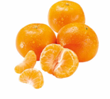 Netto Marken-Discount - Satsumas Angebot im Prospekt Satsumas bei Netto Marken-Discount im Prospekt "" für 1,69 €
