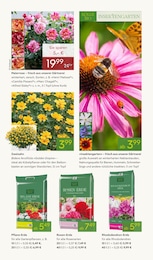 Pflanzen Kölle Gartenerde im Prospekt 