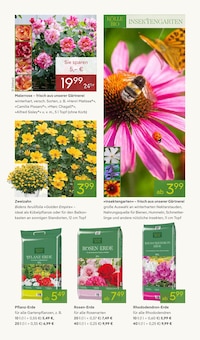 Pflanzen im Pflanzen Kölle Prospekt "BLÜTENZAUBER FÜR ZUHAUSE" mit 14 Seiten (Nürnberg)