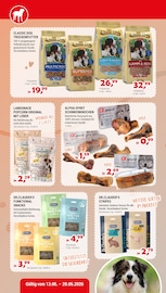 Lamm im Zookauf Prospekt in Schwerte Aktueller Zookauf Prospekt mit Lamm, "SOMMERLICH FRISCHE SPARPREISE", Seite 4