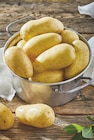 Promo Pomme de terre de consommation à chair ferme Princesse Amandine à 2,59 € dans le catalogue Intermarché à Revel
