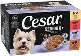Creations in Sauce von Cesar für 5,49 € bei REWE im Angebot Creations in Sauce von Cesar im aktuellen REWE Prospekt