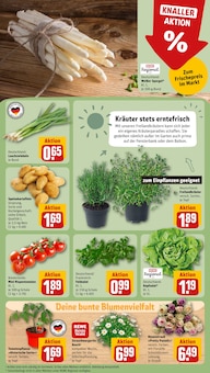 Kartoffeln im REWE Prospekt "Dein Markt" mit 22 Seiten (Neuss)