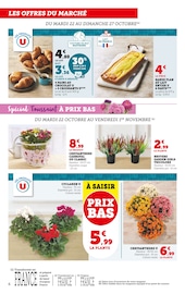 Chrysanthèmes Angebote im Prospekt "U EXPRESS" von U Express auf Seite 6