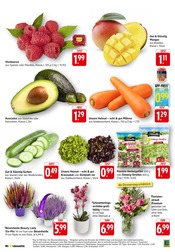 Mango im E center Prospekt in Bietigheim-Bissingen Aktueller E center Prospekt mit Mango, "Aktuelle Angebote", Seite 3