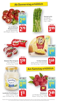 Tomaten im EDEKA Prospekt "Aktuelle Angebote" mit 16 Seiten (Heidelberg)