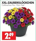 XXL-Zauberglöckchen im Angebot bei Wreesmann in Aurich XXL-Zauberglöckchen Angebote bei Wreesmann Aurich für 2,49 €
