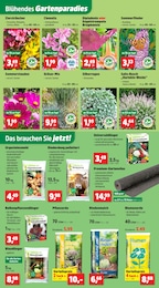Pflanzenerde Angebot im aktuellen Thomas Philipps Prospekt auf Seite 5