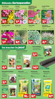 Blumen im Thomas Philipps Prospekt "Top Angebote" mit 21 Seiten (Oberhausen)