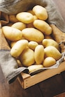 Pomme de terre de consommation nouvelle récolte ITM Terroirs - Intermarché à Saumur Pomme de terre de consommation nouvelle récolte ITM Terroirs en promo chez Intermarché Saumur à 2,19 €
