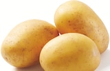 Deutsche Speisefrühkartoffeln im Angebot bei Lidl in Essen Deutsche Speisefrühkartoffeln Angebote von Bioland bei Lidl Essen für 1,79 €
