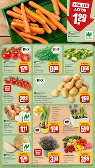 Staubsauger im REWE Prospekt "Dein Markt" mit 34 Seiten (Rostock)