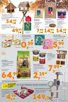 Partyzelt im aktuellen Globus-Baumarkt Prospekt (Mainz) Partyzelt im Globus-Baumarkt Prospekt "Immer eine Idee besser" mit 17 Seiten (Mainz)