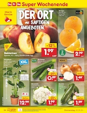 Ähnliche Angebote wie Alpenveilchen im Prospekt "Aktuelle Angebote" auf Seite 38 von Netto Marken-Discount in Siegen