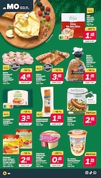 Netto mit dem Scottie Back Camembert im Prospekt Netto mit dem Scottie Back Camembert im Prospekt