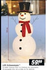 LED-Schneemann im aktuellen toom Baumarkt Prospekt