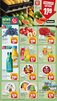 Fertiggerichte im REWE Prospekt "Dein Markt" mit 14 Seiten (Nürnberg)
