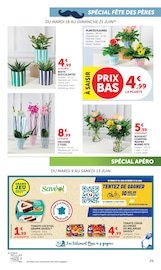 Promos Fleurs dans le catalogue "Super U" de Super U Fleurs en promo dans le catalogue Super U à la page 29
