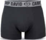 Herren T-Shirt, 2er Pack oder Retroshorts, 2er Pack Angebote von CAMP DAVID bei Netto Marken-Discount Halberstadt für 14,99 €