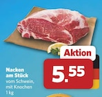 combi Oldenburg Prospekt mit  im Angebot für 5,55 €