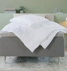 Aktuelle Bettdecke Angebote bei JYSK in Koblenz Aktuelles Beerenberg Synthetikbettdecke Angebot bei JYSK in Koblenz ab 22,50 €