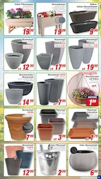 Blumentopf Angebot im aktuellen CENTERSHOP Prospekt auf Seite 9