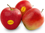 Apfel im Angebot bei Netto Marken-Discount in Ahlen Apfel Angebote von evelina bei Netto Marken-Discount Ahlen für 1,99 €