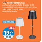 LED-Tischleuchte von Caboz im aktuellen V-Markt Prospekt für 19,99 €