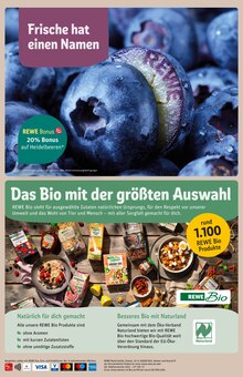 Obst im REWE Prospekt "Dein Markt" mit 28 Seiten (Frankfurt (Main))