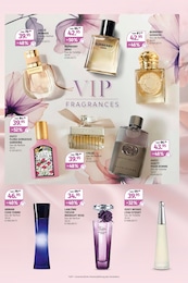 Müller Rose im Prospekt 