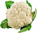 Blumenkohl Angebote bei GLOBUS Halle für 1,29 €