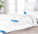 Aktuelles Ganzjahresbettdecke Angebot bei Möbel Martin in Trier ab 9,99 €