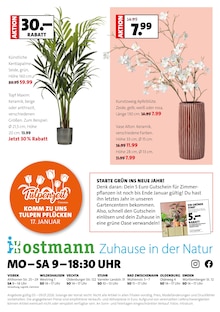 Künstlicher Weihnachtsbaum im Blumen Ostmann Prospekt "Faszinierend, was Grün alles kann" mit 10 Seiten (Bremen)