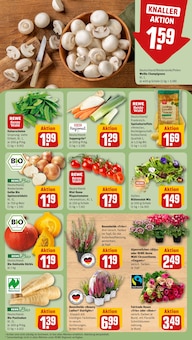 Blumen im REWE Prospekt "Dein Markt" mit 32 Seiten (Offenbach (Main))