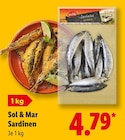 Sardinen Angebote von Sol & Mar bei Lidl Regensburg für 4,79 €