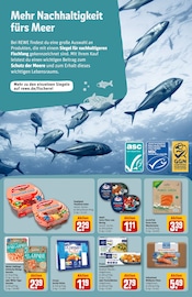 Garnelen im REWE Prospekt in Brandenburg Aktueller REWE Prospekt mit Garnelen, "Dein Markt", Seite 15