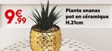 Plante ananas pot en céramique H.21cm dans le catalogue Maxi Bazar
