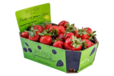 Deutsche Erdbeeren im Angebot bei REWE in Hamburg Deutsche Erdbeeren Angebote von WERNER Genusskultur bei REWE Hamburg für 2,99 €