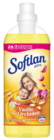 Vanille & Orchidee im Angebot bei REWE in Bergheim Vanille & Orchidee Angebote von Softlan bei REWE Bergheim für 1,29 €