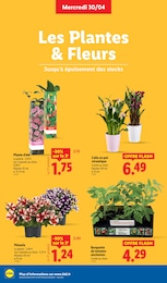 Offre Pot dans le catalogue Lidl du moment à la page 28