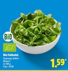 Bio Feldsalat Angebote bei Lidl Delmenhorst für 1,59 €