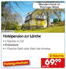 Hotelpension zur Lärche bei Netto Marken-Discount im Neckarbischofsheim Prospekt für 69,99 €